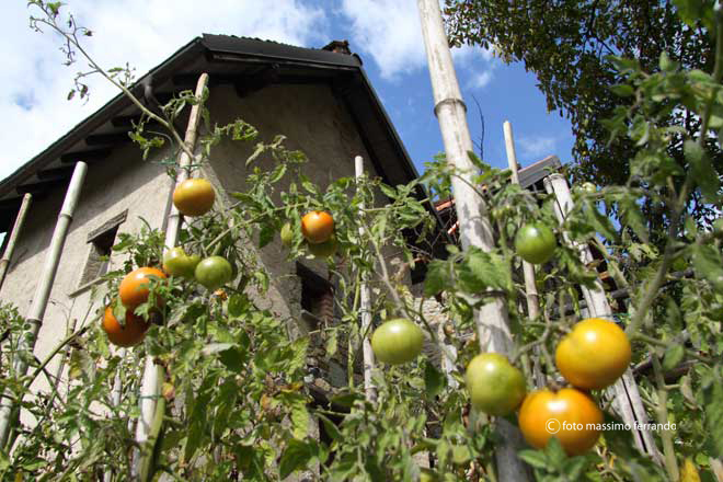 L'orto _ The vegetable garden