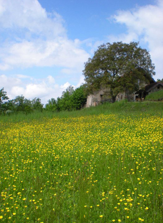 Escursione in Sasselletto_12-13-14 Aprile 2013 _ Excursion in Sasselletto