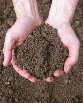 Laboratorio per la costruzione di un forno in terra cruda con accenni di permacultura